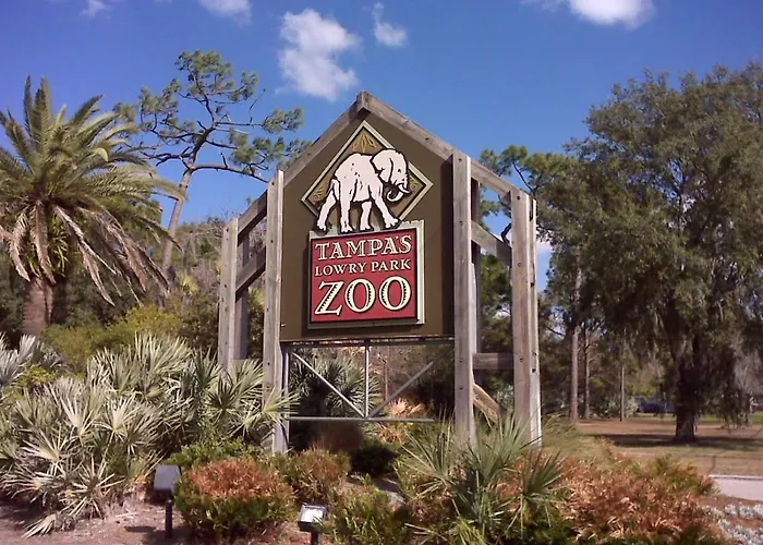 Busch Gardens Usf 10 Mi To Dt Tampa
