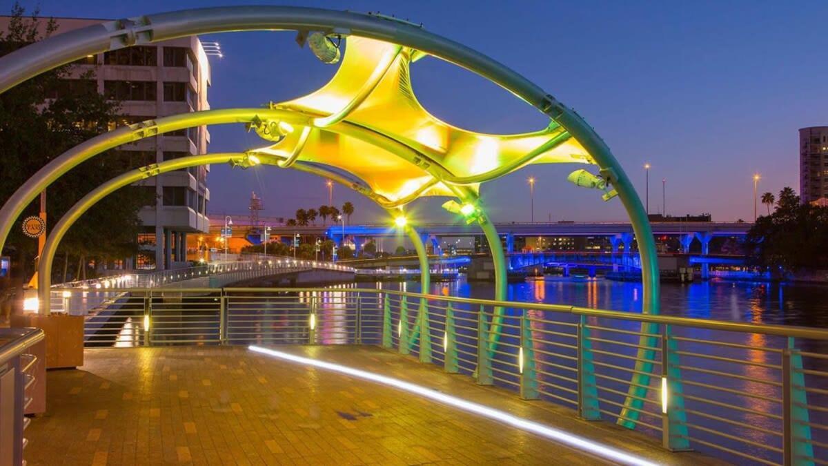 Busch Gardens Usf 10 Mi To Dt Apartment Tampa