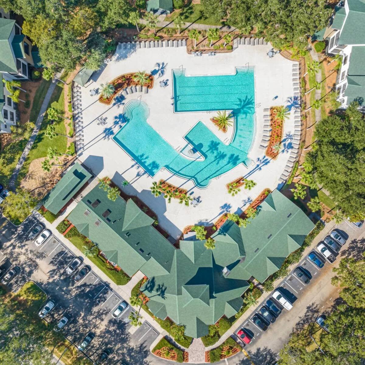 Apartment Busch Gardens Usf 10 Mi To Dt Tampa
